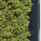 Green Wall, Mini Textured Moss 1 By Gold Leaf | Wall Art | Modishstore - 3
