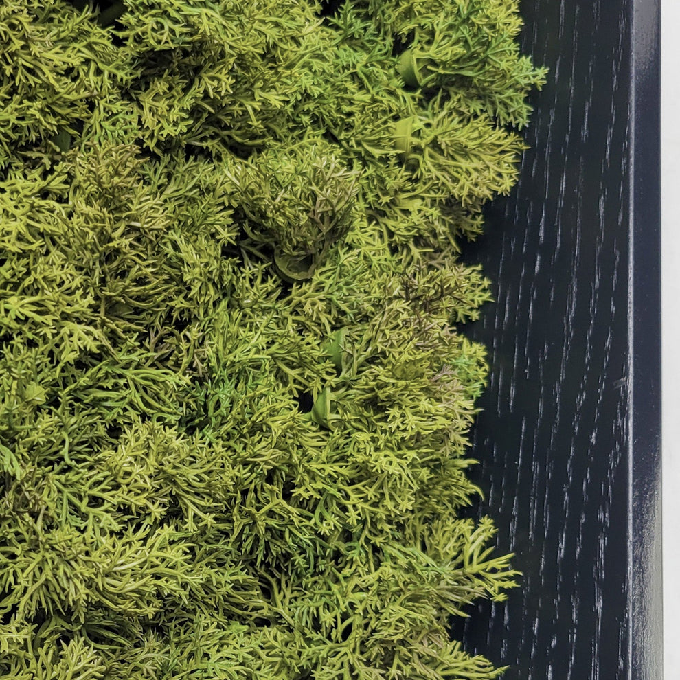 Green Wall, Mini Textured Moss 1 By Gold Leaf | Wall Art | Modishstore - 3