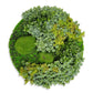Green Wall Shape, Disc, Imperial Mix, 20.5”D By Gold Leaf | Wall Art | Modishstore - 2