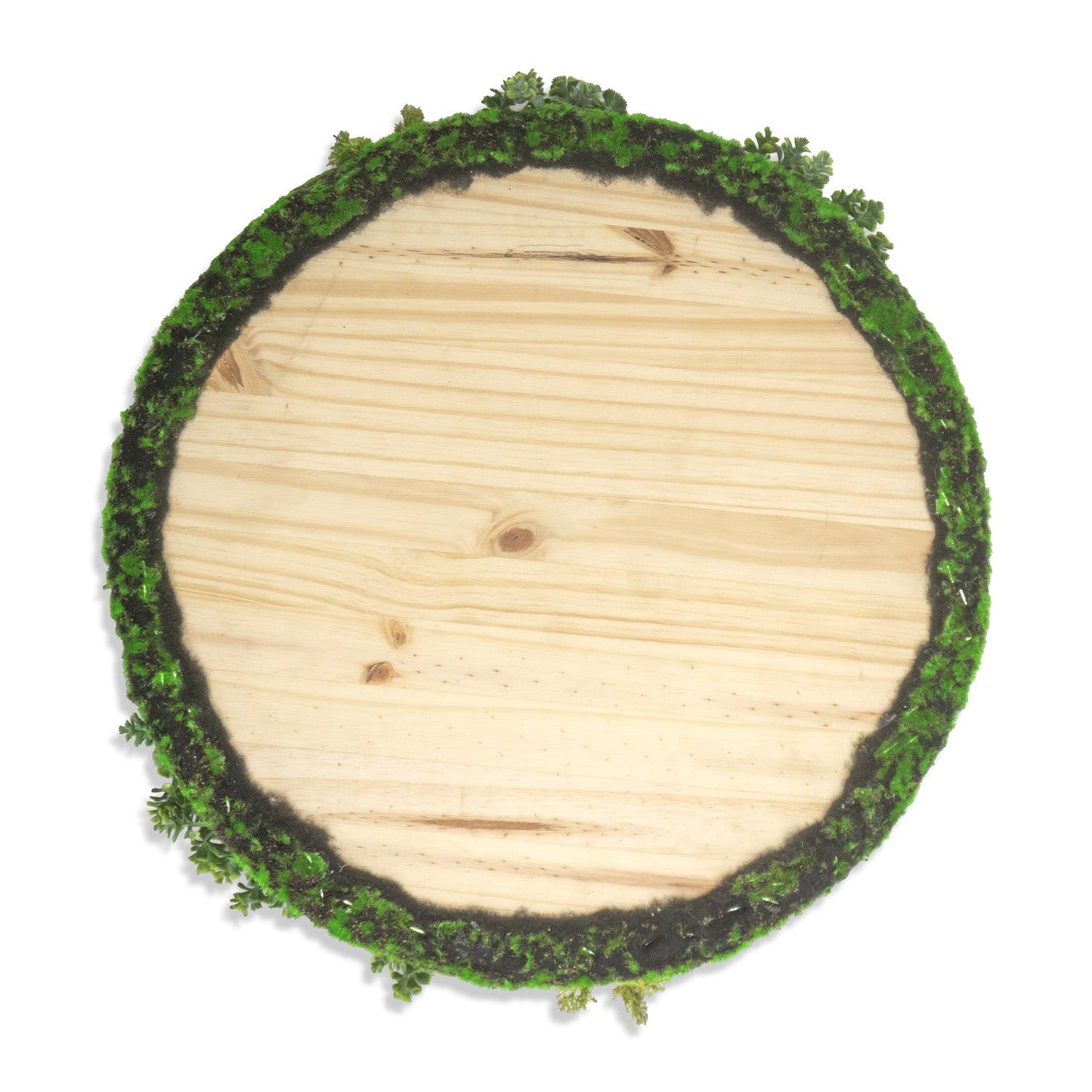 Green Wall Shape, Disc, Imperial Mix, 20.5”D By Gold Leaf | Wall Art | Modishstore - 9