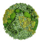 Green Wall Shape, Disc, Imperial Mix, 26.25”D By Gold Leaf | Wall Art | Modishstore - 2