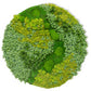 Green Wall Shape, Disc, Imperial Mix, 38.5”D By Gold Leaf | Wall Art | Modishstore - 1