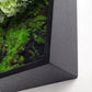 Green Wall, Mini Eucalyptus 1 By Gold Leaf | Wall Art | Modishstore - 3