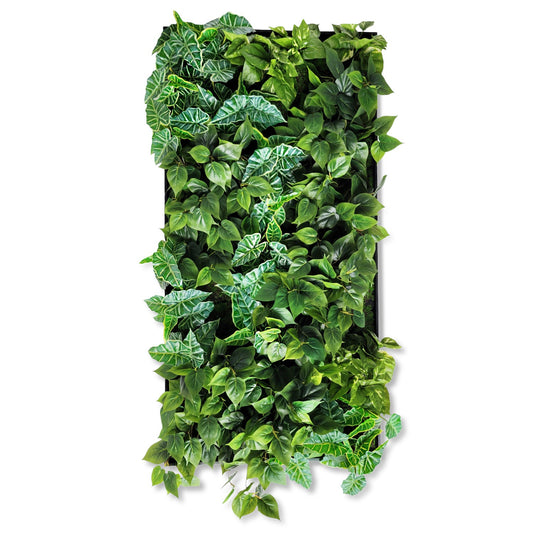 Green Wall, Trailing Mix #3 By Gold Leaf | Wall Art | Modishstore - 1