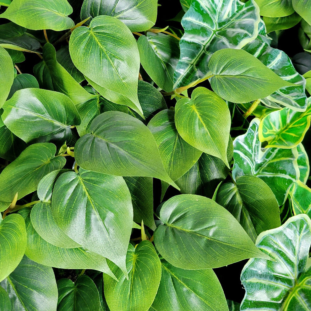 Green Wall, Trailing Mix #3 By Gold Leaf | Wall Art | Modishstore - 3