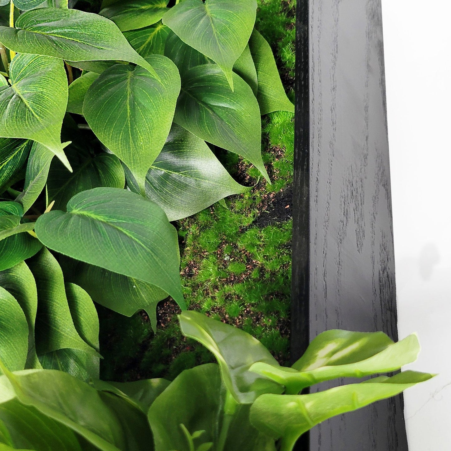 Green Wall, Trailing Mix #3 By Gold Leaf | Wall Art | Modishstore - 4