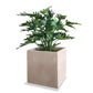 Philodendron 38”H in Square Urbano, SM By Gold Leaf | Planters, Troughs & Cachepots | Modishstore - 2