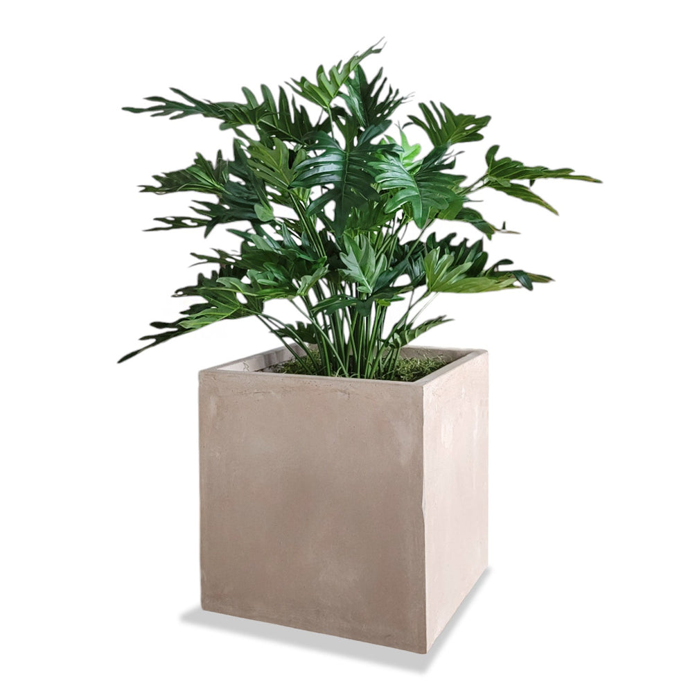 Philodendron 38”H in Square Urbano, SM By Gold Leaf | Planters, Troughs & Cachepots | Modishstore - 2