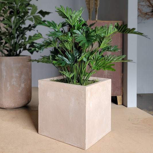 Philodendron 38”H in Square Urbano, SM By Gold Leaf | Planters, Troughs & Cachepots | Modishstore - 1