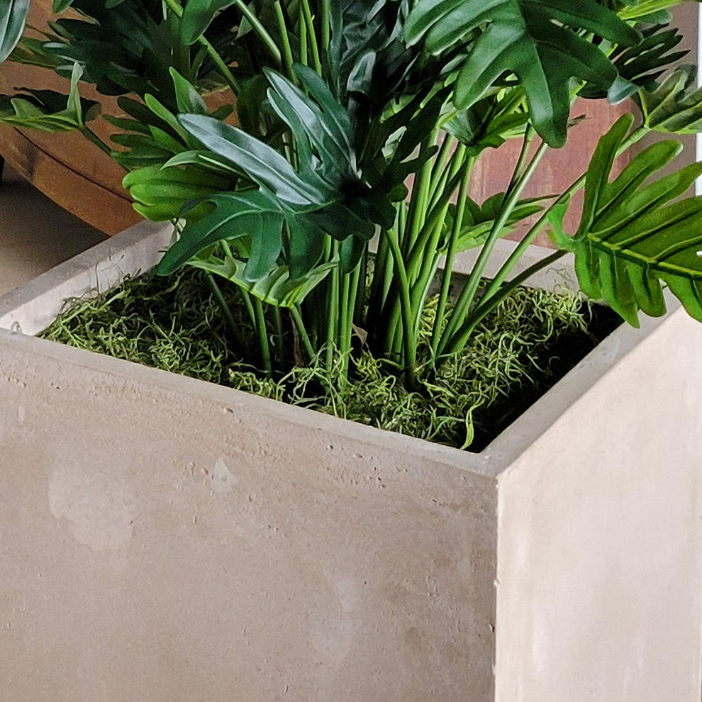 Philodendron 38”H in Square Urbano, SM By Gold Leaf | Planters, Troughs & Cachepots | Modishstore - 4