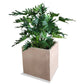 Philodendron 38”H in Square Urbano, SM By Gold Leaf | Planters, Troughs & Cachepots | Modishstore - 6