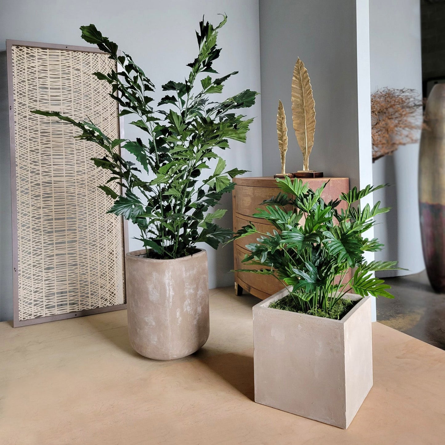 Philodendron 38”H in Square Urbano, SM By Gold Leaf | Planters, Troughs & Cachepots | Modishstore - 7