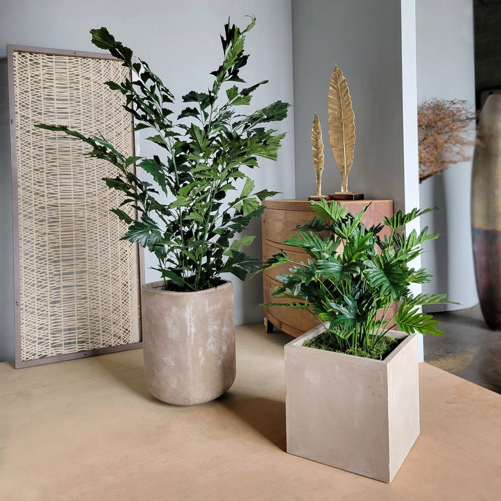 Philodendron 38”H in Square Urbano, SM By Gold Leaf | Planters, Troughs & Cachepots | Modishstore - 7