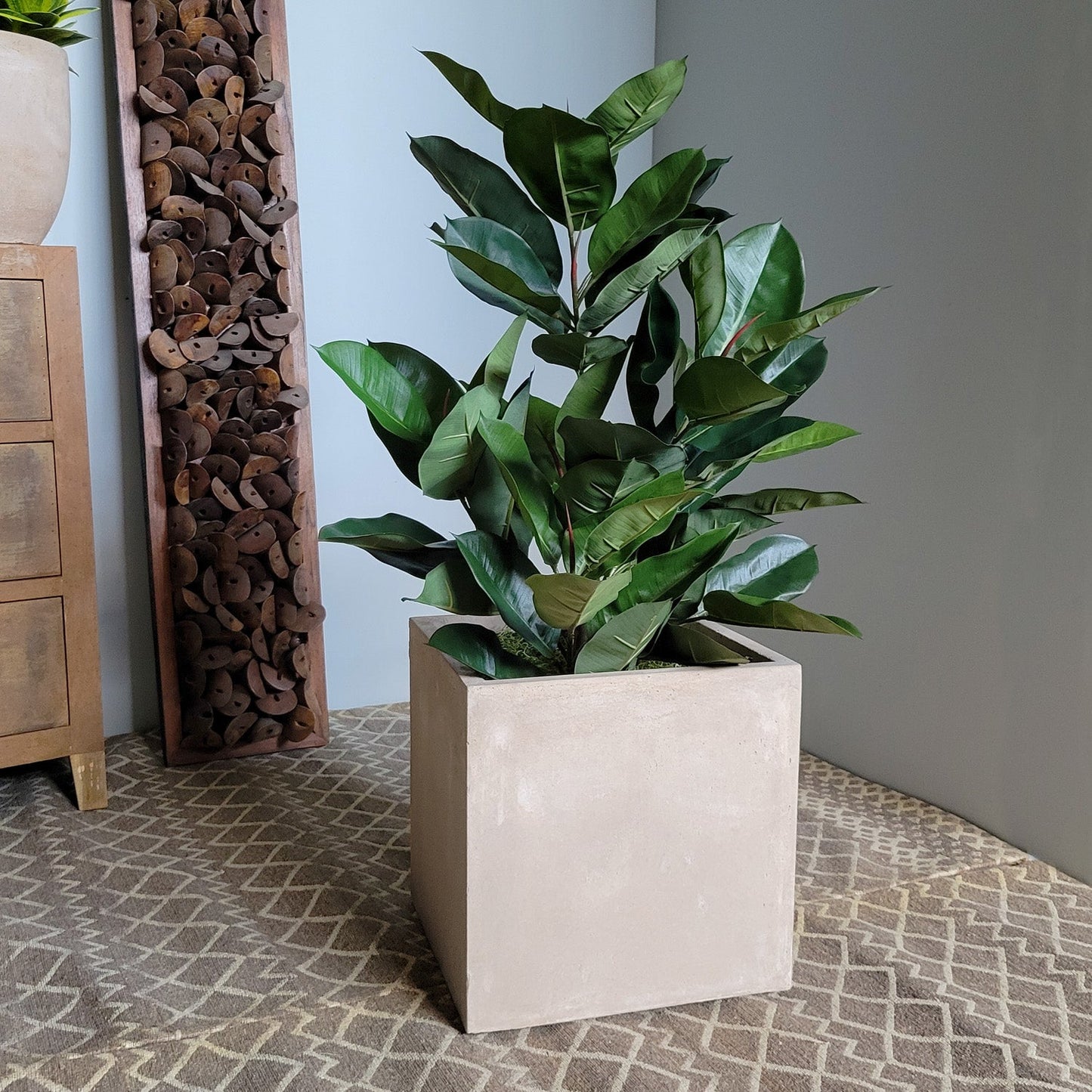 Rubber Tree Green in Square Urbano, SM By Gold Leaf | Planters, Troughs & Cachepots | Modishstore - 6