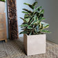 Rubber Tree Two-Tone in Square Urbano, SM By Gold Leaf | Planters, Troughs & Cachepots | Modishstore - 1