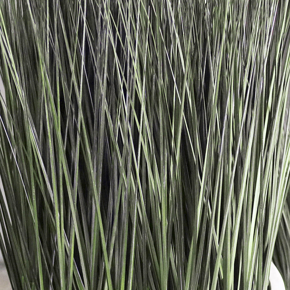 Grass: Cortada Grass in Barrel Planter MD, White Satin By Gold Leaf | Planters, Troughs & Cachepots | Modishstore - 2