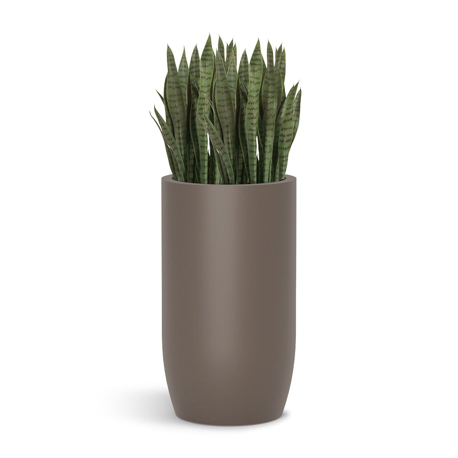 Sansevieria in Barrel Planter MD, Gunmetal Metallic Satin By Gold Leaf | Planters, Troughs & Cachepots | Modishstore - 1