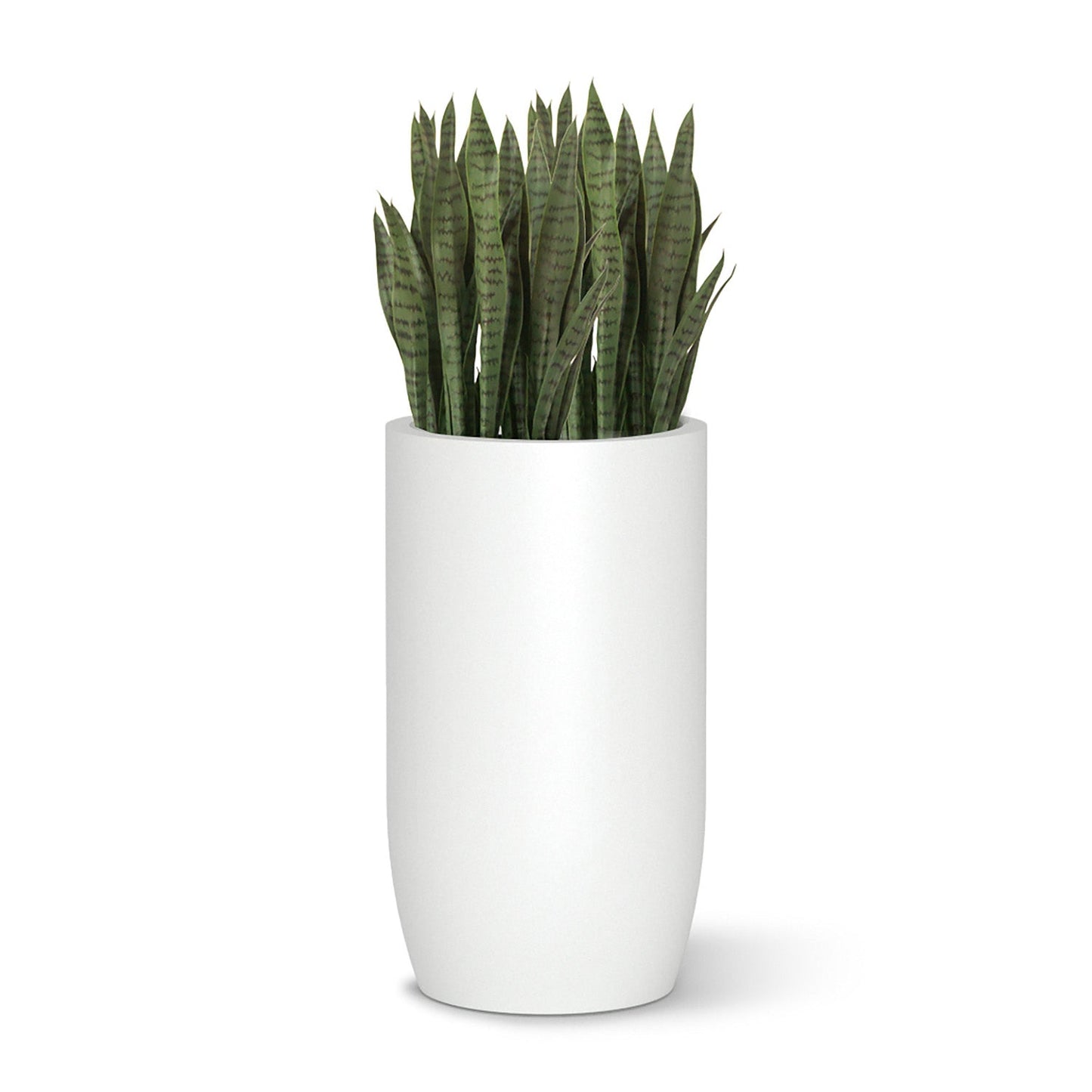 Sansevieria in Barrel Planter MD, White Satin By Gold Leaf | Planters, Troughs & Cachepots | Modishstore - 1