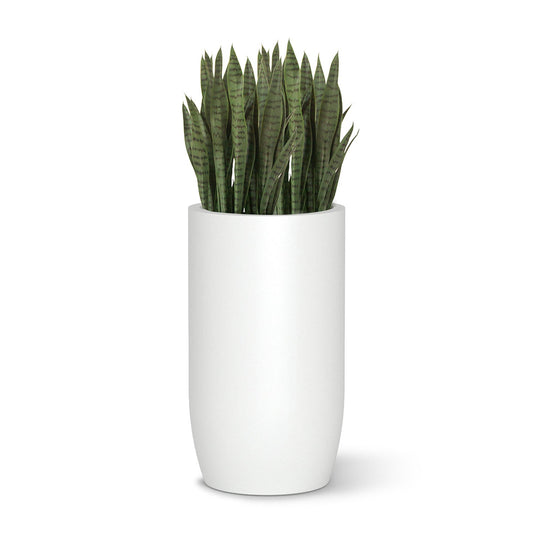 Sansevieria in Barrel Planter MD, White Satin By Gold Leaf | Planters, Troughs & Cachepots | Modishstore - 1