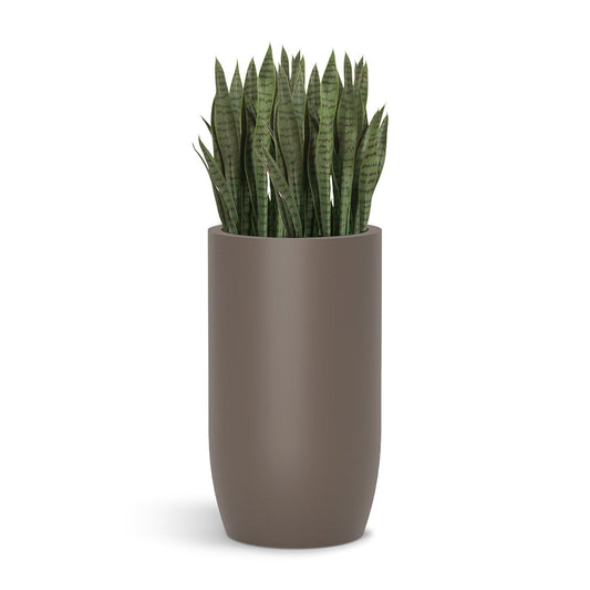 Sansevieria in Barrel Planter SM, Gunmetal Metallic Satin By Gold Leaf | Planters, Troughs & Cachepots | Modishstore - 1