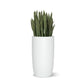 Sansevieria in Barrel Planter SM, White Satin By Gold Leaf | Planters, Troughs & Cachepots | Modishstore - 1