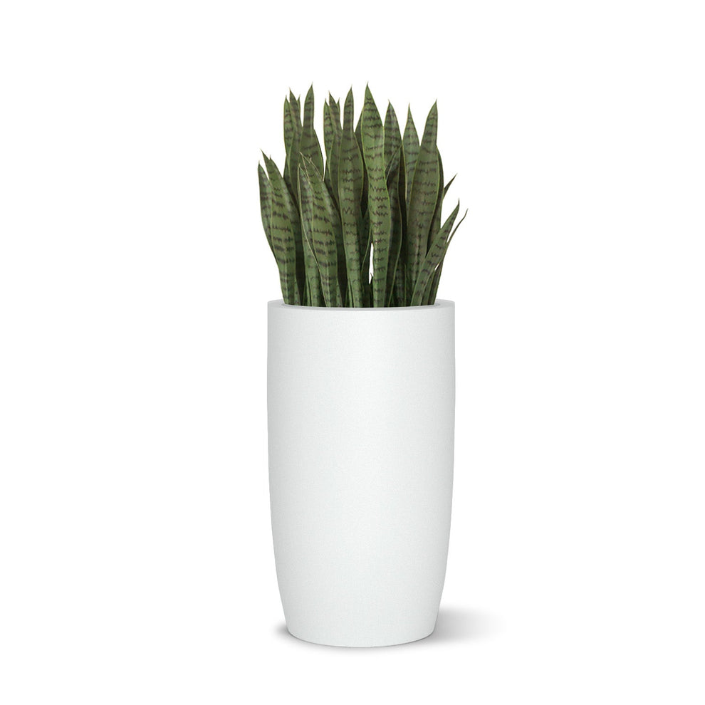 Fiberglass: Barrel 25.5"H Planter, White By Gold Leaf | Planters, Troughs & Cachepots | Modishstore - 4