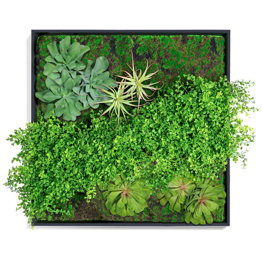Green Wall, Button Fern Mix By Gold Leaf | Wall Art | Modishstore - 1