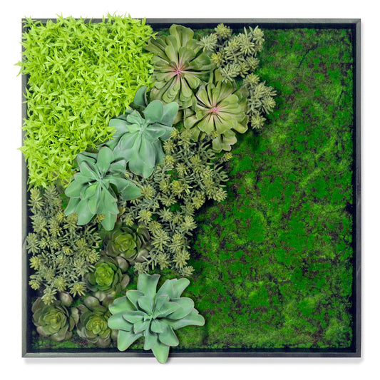 Green Wall, 'Wave Succulent 1' By Gold Leaf | Wall Art | Modishstore - 1