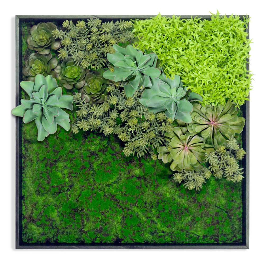 Green Wall, 'Wave Succulent 1' By Gold Leaf | Wall Art | Modishstore - 2