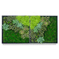 Green Wall, 'Wave Succulent 2' By Gold Leaf | Wall Art | Modishstore - 1
