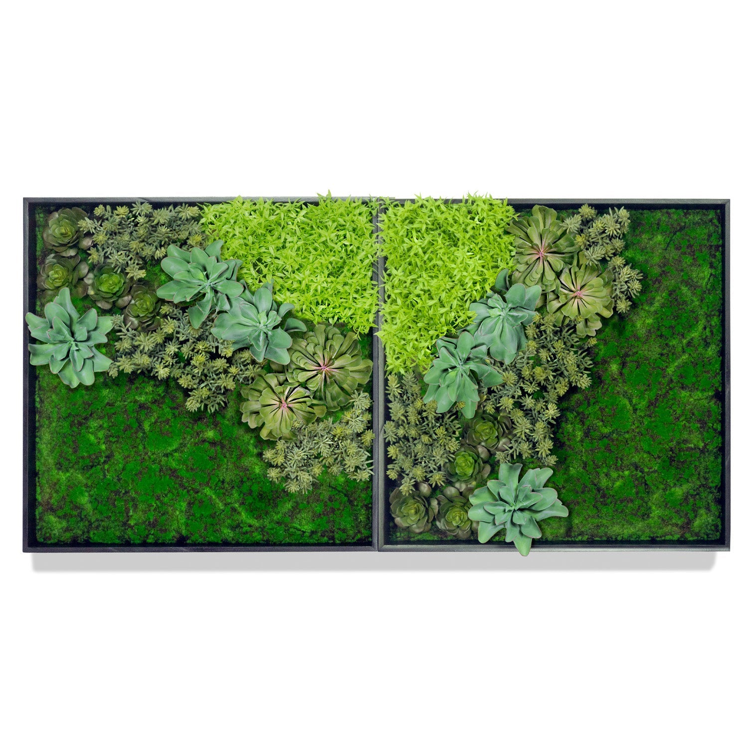 Green Wall, 'Wave Succulent 2' By Gold Leaf | Wall Art | Modishstore - 1