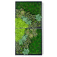 Green Wall, 'Wave Succulent 2' By Gold Leaf | Wall Art | Modishstore - 2