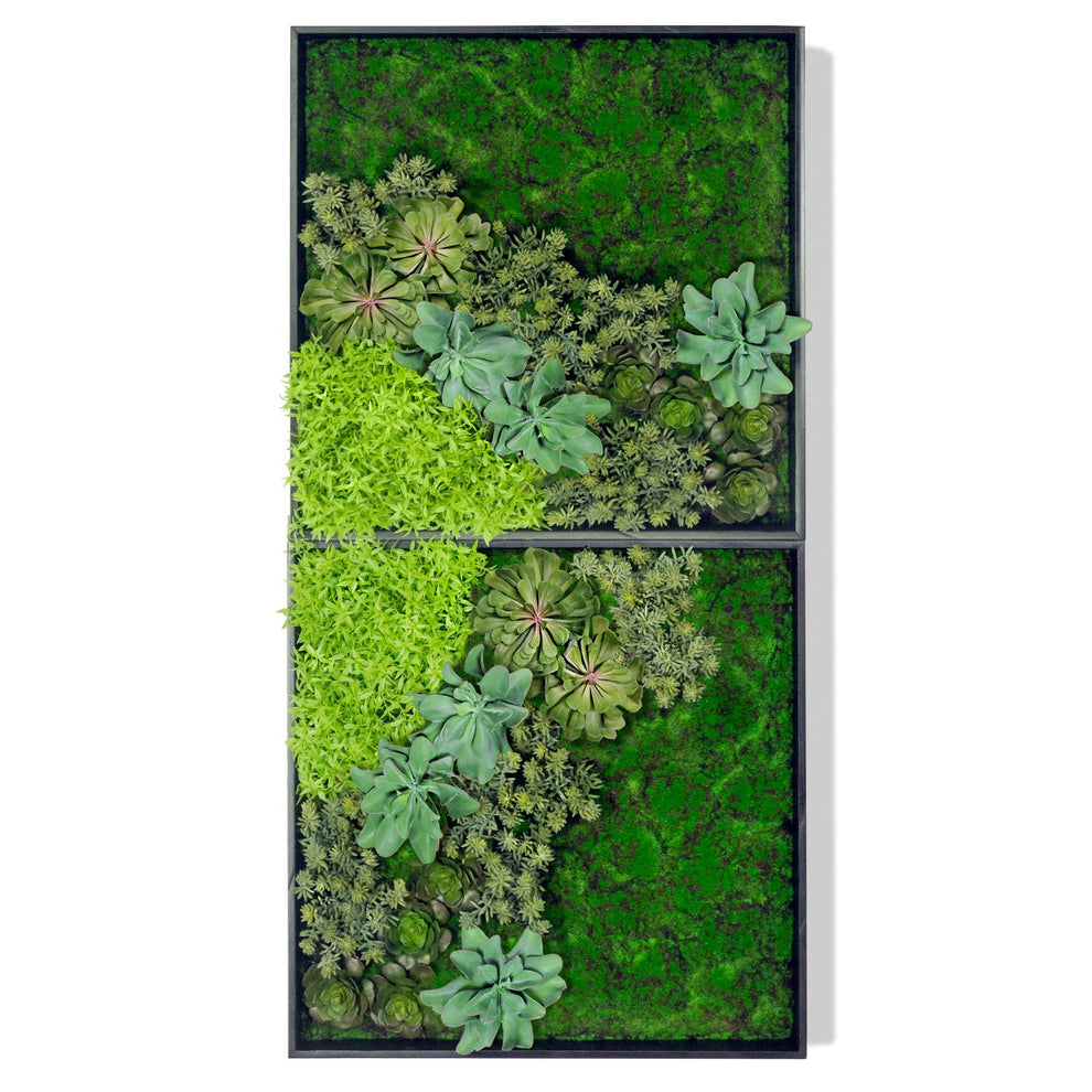 Green Wall, 'Wave Succulent 2' By Gold Leaf | Wall Art | Modishstore - 2
