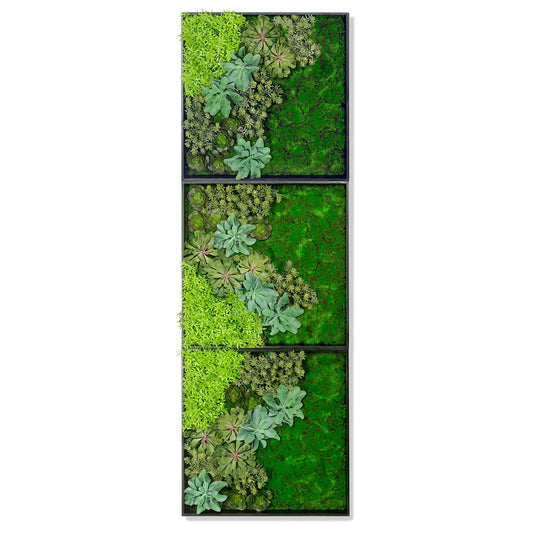 Green Wall, 'Wave Succulent 3' By Gold Leaf | Wall Art | Modishstore - 1
