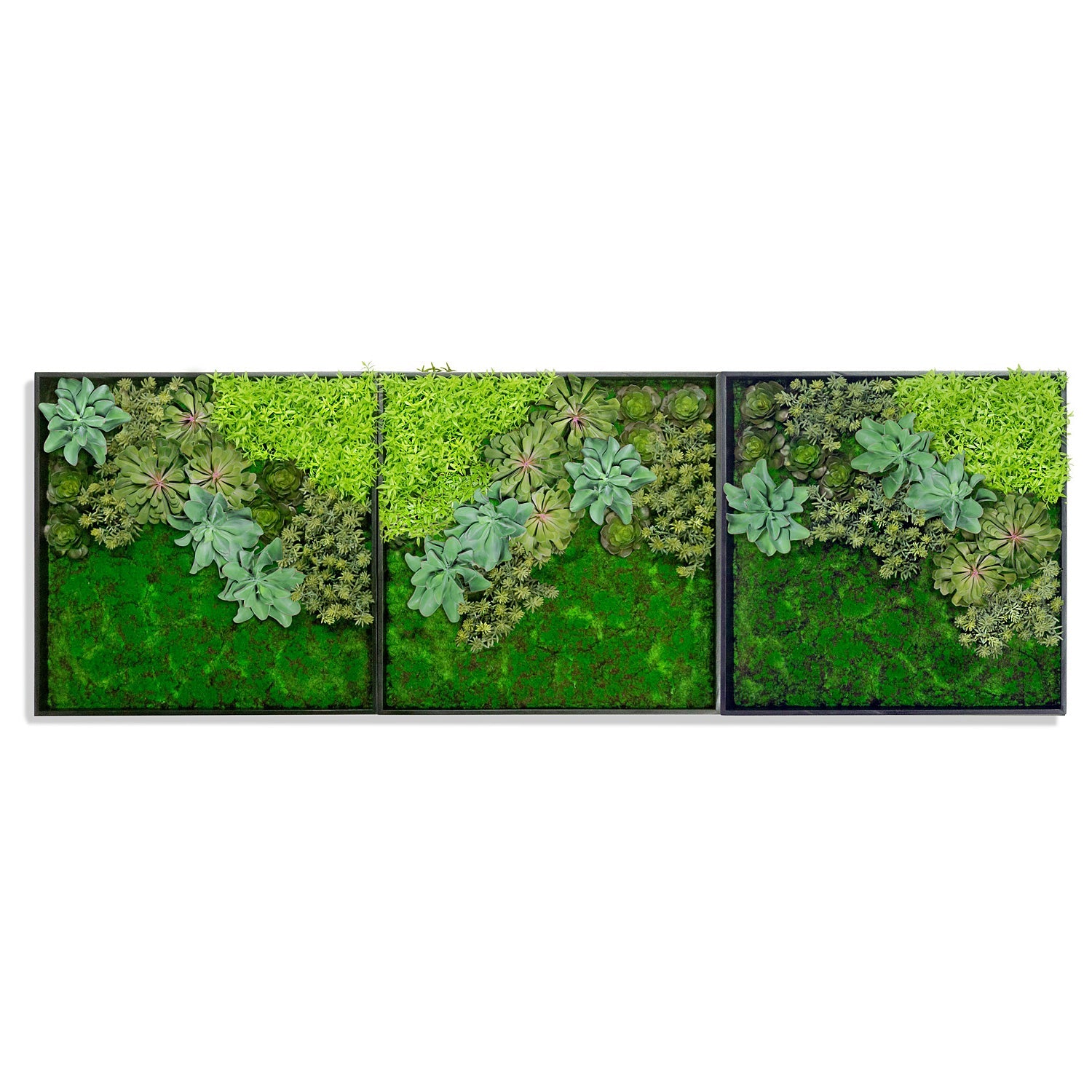 gold succulent wall planter Green Wall, 'Wave Succulent 3' By Gold Leaf – Modish Store