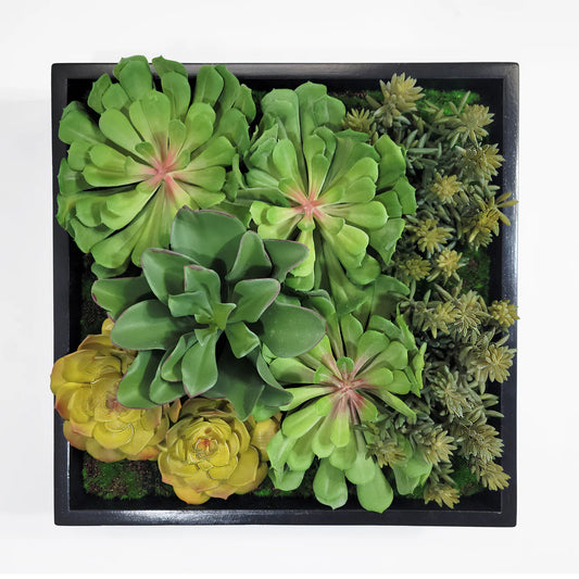 Green Wall, Mini Pulidonis & Kalanchoe 2 By Gold Leaf