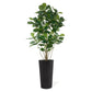 Fiddle Leaf Tree in Harmony Planter MD By Gold Leaf | Planters, Troughs & Cachepots | Modishstore - 6