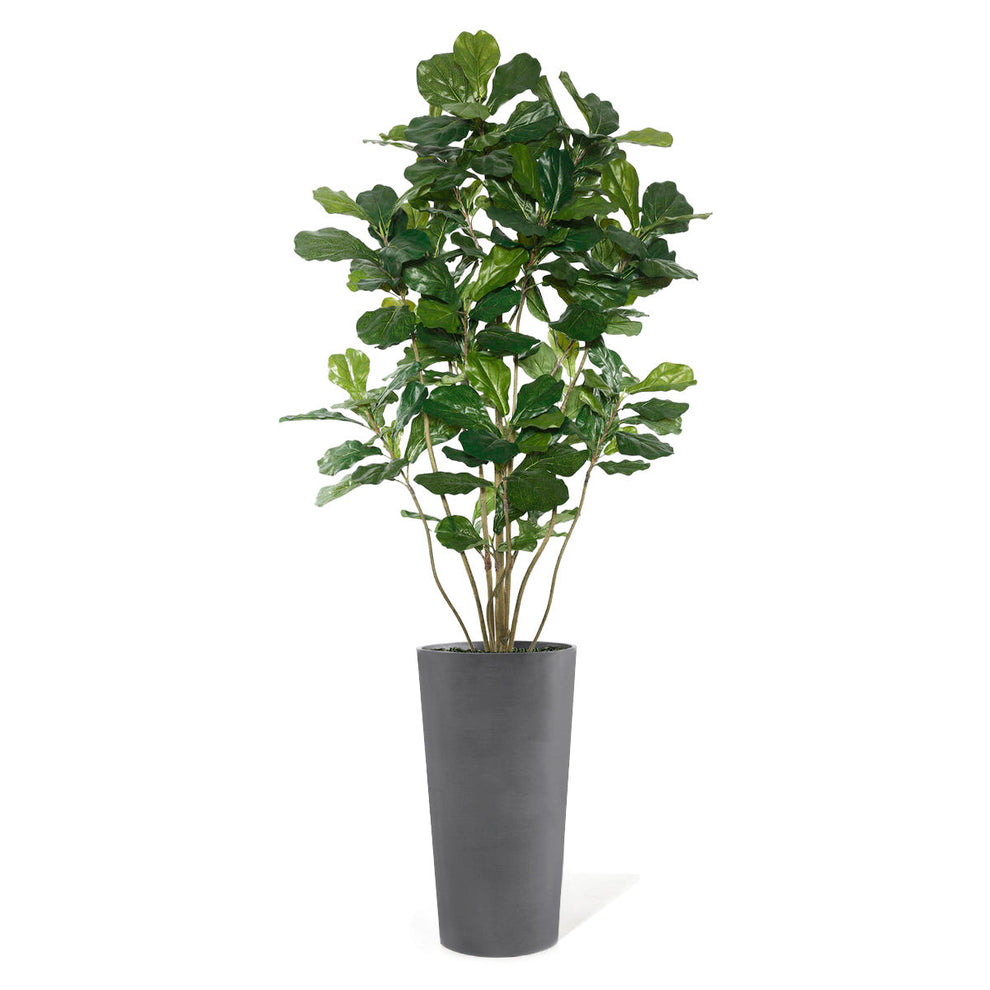 Fiddle Leaf Tree in Harmony Planter MD By Gold Leaf | Planters, Troughs & Cachepots | Modishstore - 7