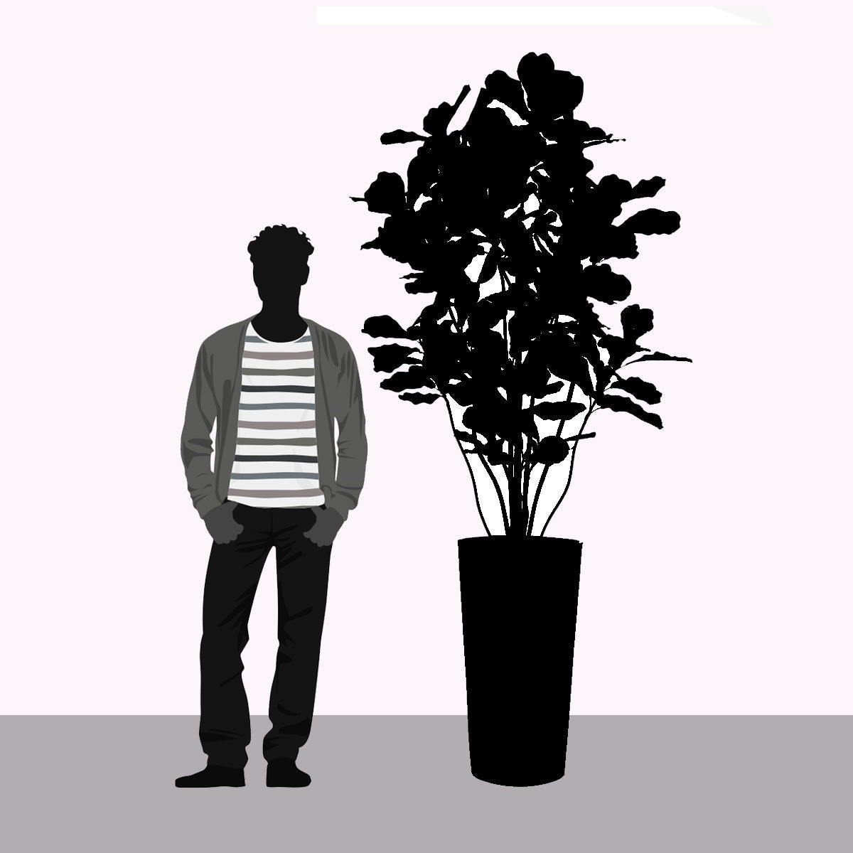 Fiddle Leaf Tree in Harmony Planter MD By Gold Leaf | Planters, Troughs & Cachepots | Modishstore - 2