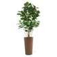 Fiddle Leaf Tree in Harmony Planter MD By Gold Leaf | Planters, Troughs & Cachepots | Modishstore - 8