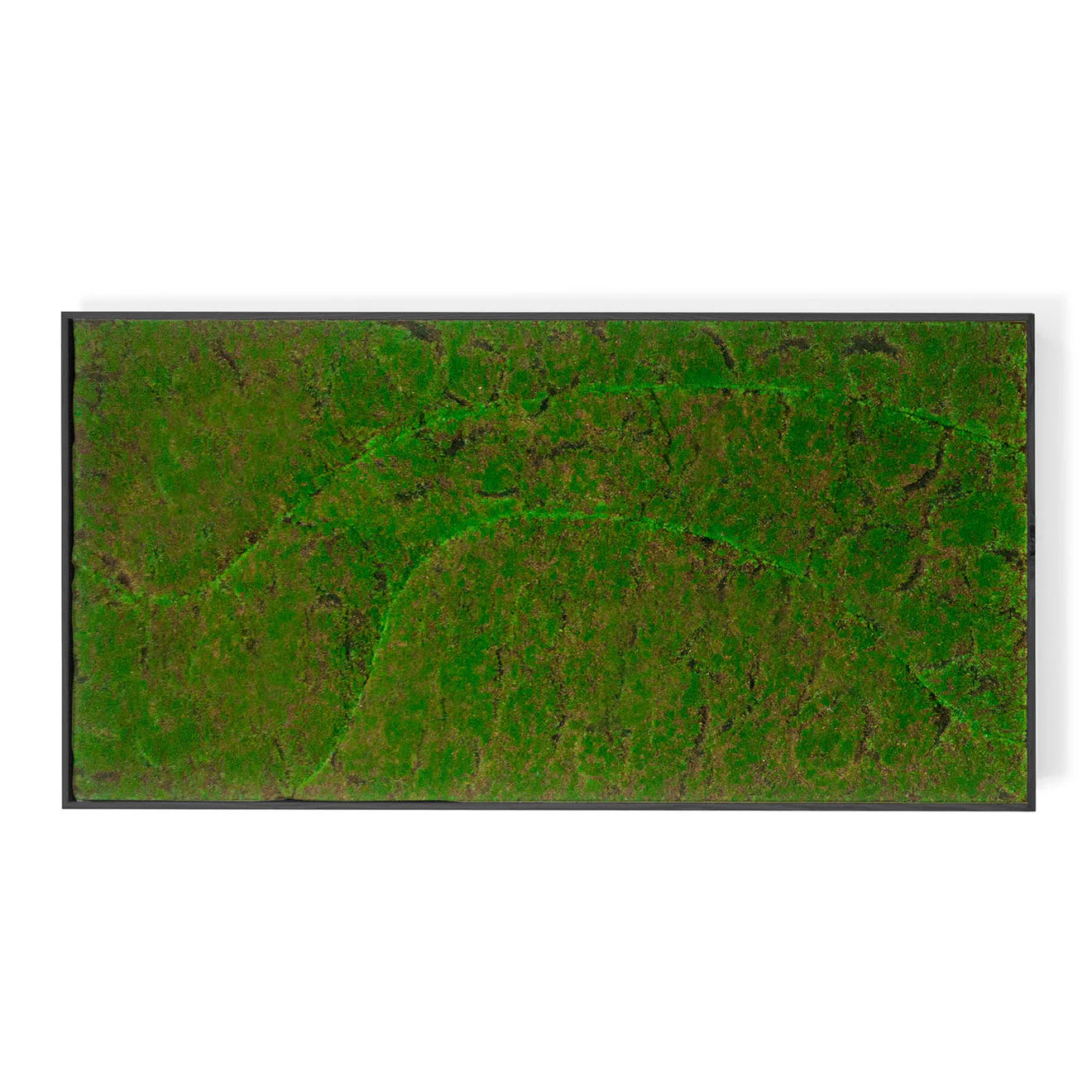 Green Wall, ‘New Wave A’, Satin Black Hardwood By Gold Leaf