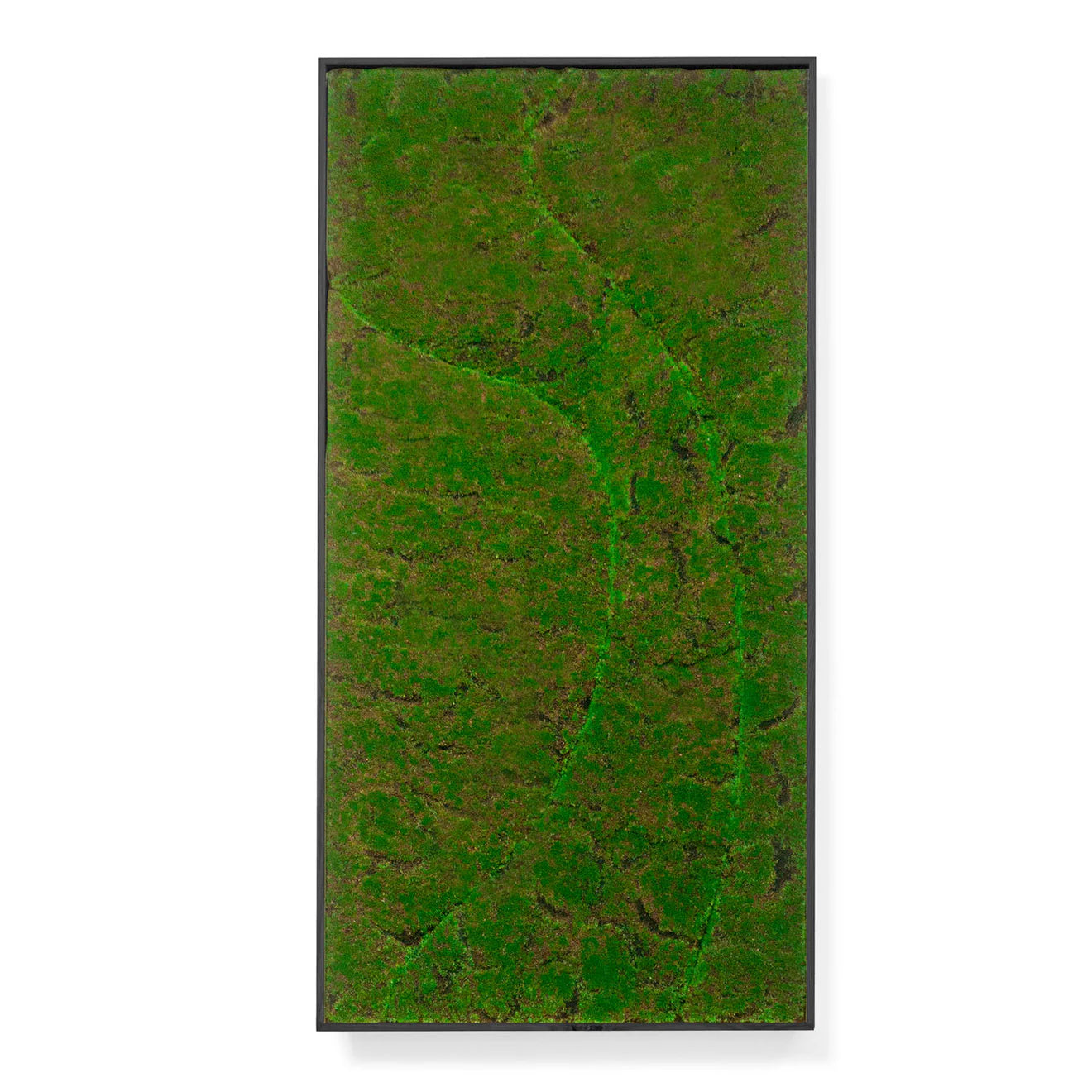 Green Wall, ‘New Wave A’, Satin Black Hardwood By Gold Leaf