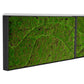 Green Wall, ‘New Wave A’, Satin Black Hardwood By Gold Leaf