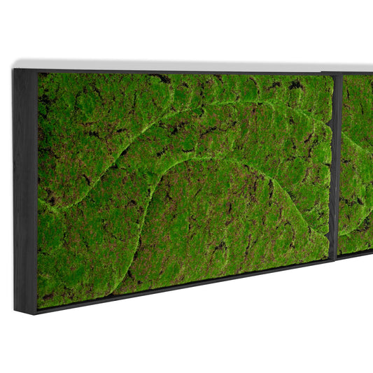 Green Wall, ‘New Wave A’, Satin Black Hardwood By Gold Leaf