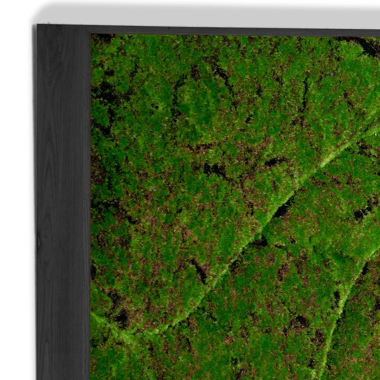Green Wall, ‘New Wave A’, Satin Black Hardwood By Gold Leaf