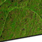 Green Wall, ‘New Wave A’, Satin Black Hardwood By Gold Leaf