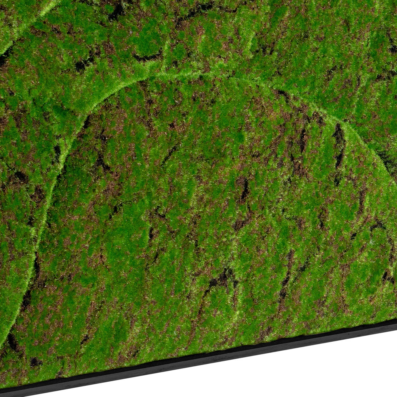 Green Wall, ‘New Wave A’, Satin Black Hardwood By Gold Leaf