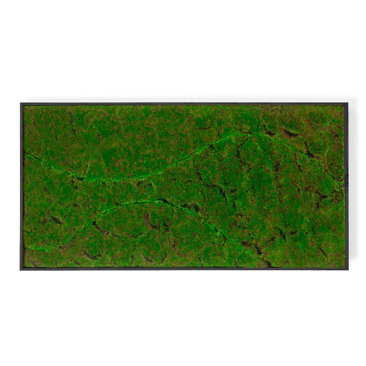 Green Wall, ‘New Wave B', Satin Black Hardwood By Gold Leaf