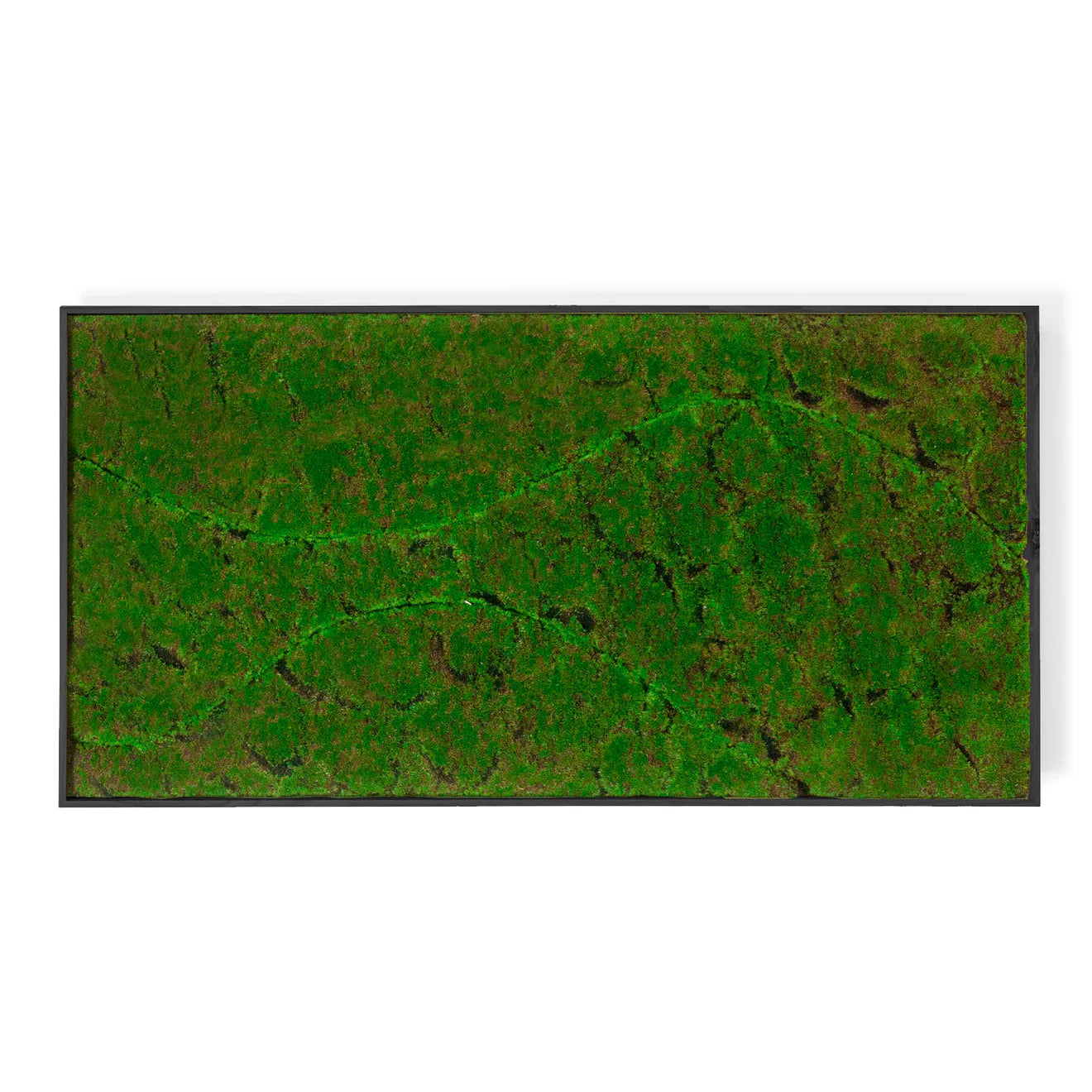 Green Wall, ‘New Wave B', Satin Black Hardwood By Gold Leaf