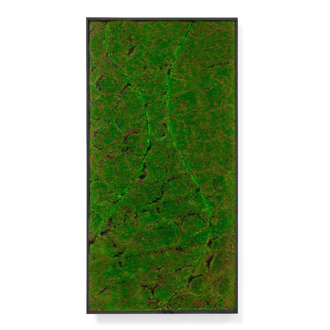 Green Wall, ‘New Wave B', Satin Black Hardwood By Gold Leaf